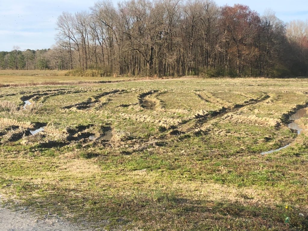 Image shows ruts a foot deep in a field. 