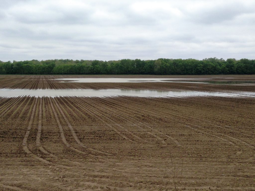 Image shows large puddles that are pond sized in fields. 
